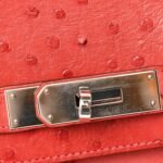 Ostrich Birkin 30 Rouge Vif - Image 13