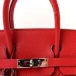 Epsom Birkin 25 Bougainvillea - Image 7