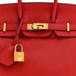 Swift Birkin 25 Rouge Casaque - Image 8