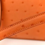 Ostrich Kelly Sellier 25 Abricot - Image 11
