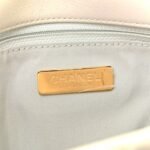 Iridescent Calfskin Quilted Large Chanel 19 Flap White - Image 6