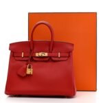 Swift Birkin 25 Rouge Casaque - Image 11