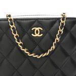 Lambskin Quilted CC Pearl Crush Camera Case Black - Image 9