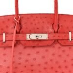 Ostrich Birkin 30 Rouge Vif - Image 8