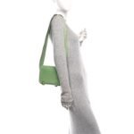 Chevre Mysore Geta Vert Criquet Vert Fizz - Image 2