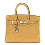 Togo BIRKIN 30 Curry