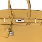 Togo BIRKIN 30 Curry - Image 8