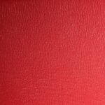 Ostrich Birkin 30 Rouge Vif - Image 5