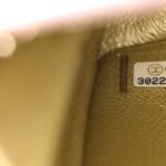 Metallic Goatskin Quilted Mini 2.55 Reissue Flap Multicolor - Image 7