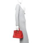 Swift Birkin 25 Rouge Casaque - Image 2
