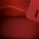 Swift Birkin 25 Rouge Casaque - Image 5