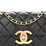 Shiny Lambskin Quilted Mini Maxi CC Flap Black - Image 8