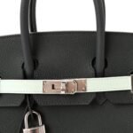 Epsom Tri-Color Birkin 25 Vert Fonce Ardoise Vert Peppermint - Image 7