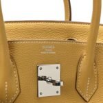 Togo BIRKIN 30 Curry - Image 6