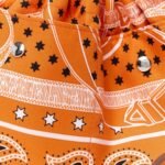 Barenia Silk Eperons d'Or Fourbi 25 MM Bag Insert Orange Fauve - Image 7