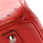 Ostrich Birkin 30 Rouge Vif - Image 11