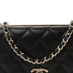 Lambskin Quilted Trendy CC Wallet On Chain WOC Black - Image 9